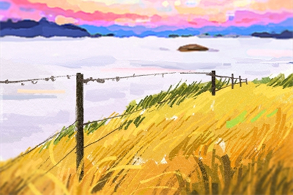 苗族花山节作文欣赏