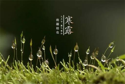 寒露专题合集文件列表◎   2021年10月8日寒露搬家吉利吗 乔迁好不好