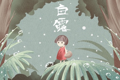 白露打核桃霜降摘柿子是什么意思