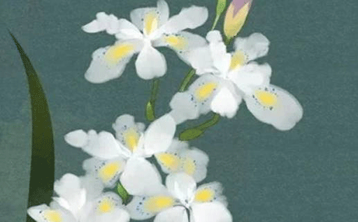 61e221f236b39.png