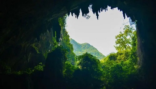梦见黄蛇缠身是什么意思