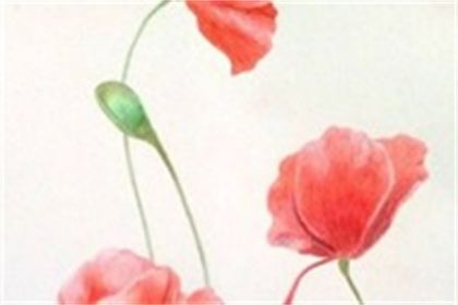 2022年9月26日这天是动土黄道吉日吗