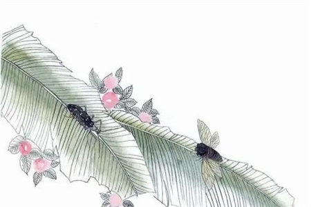2022年6月27日财神方位查询