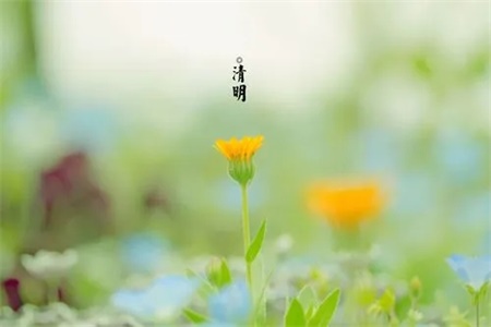 2022年6月27日适合登记领证吗
