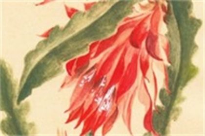 七夕节牛郎织女的传说故事