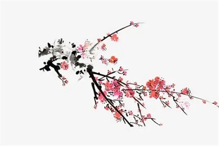 2022年7月24日是黄道吉日吗
