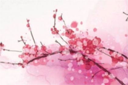 2022年建军节适合结婚吗