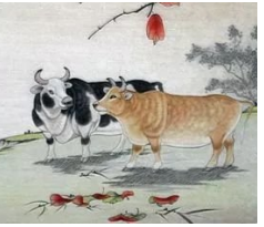 2023年7月28日生肖牛运势