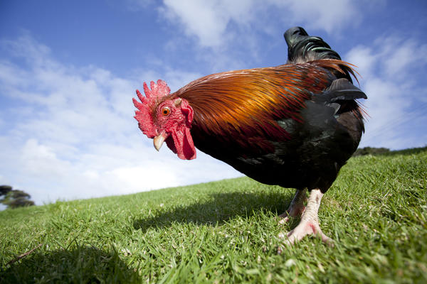 20299-%E5%9B%BE%E8%99%AB%E5%88%9B%E6%84%8F-812105327070806019.jpg 20299-%E5%9B%BE%E8%99%AB%E5%88%9B%E6%84%8F-812105327070806019.jpg