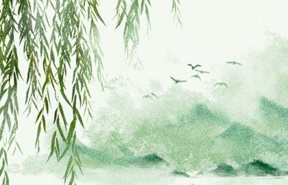 清明节插柳枝是纪念谁的