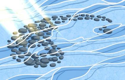 2021年三伏天具体时间 夏至后的第三个庚日