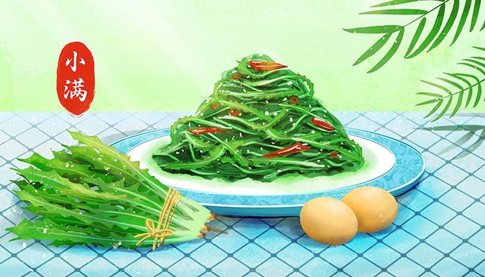 小满节气应该吃啥 小满的时候吃什么食物