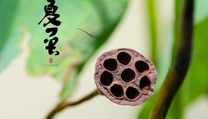 夏至节气的含义 介绍夏至节气