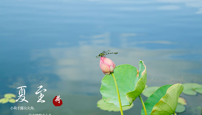 夏至节气的含义 介绍夏至节气