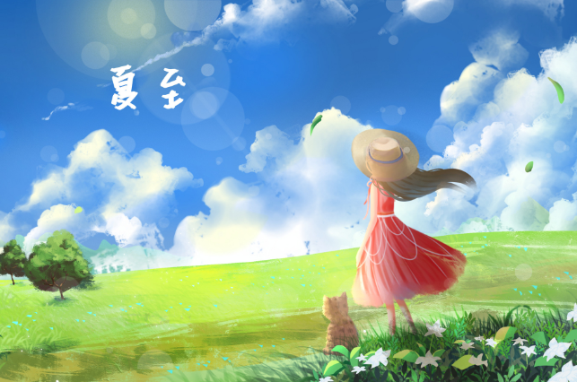 夏至节气简短的含义 夏至节气的含义介绍