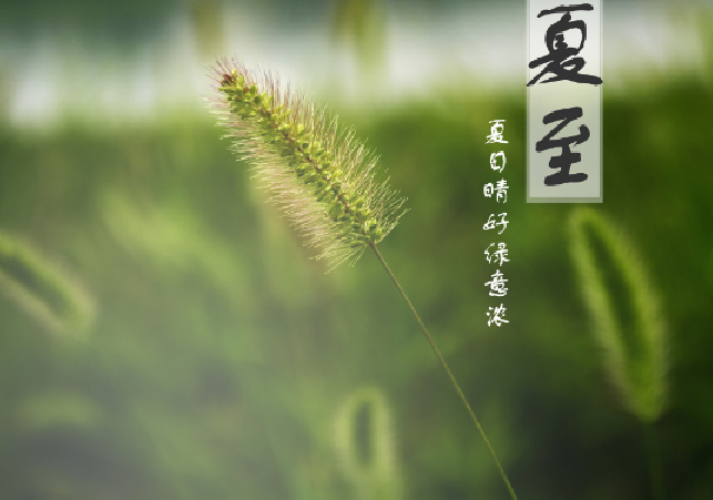 形容夏至的优美诗词 描写夏至节气的古诗词