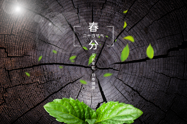 春分是中国的传统节日吗 春分是几月几日前后