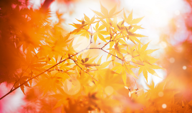 2021年10月工作日有多少天 2021年10月出勤天数是多少天
