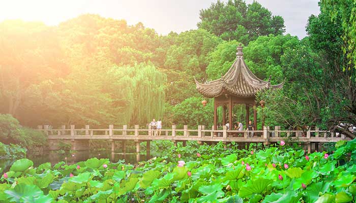 2021新浜荷花节什么时候 新浜荷花节2021年什么时候开始