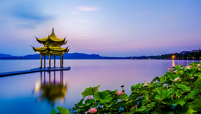 2021杭州西湖荷花什么时候开 杭州西湖荷花开了吗