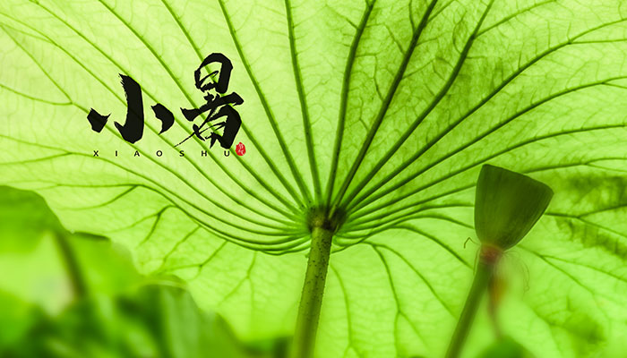 关于小暑的介绍 小暑的节气含义