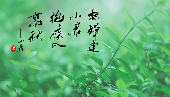 小暑节气谚语 关于小暑的谚语