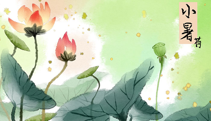 小暑节气有什么动物 小暑节气动物的变化