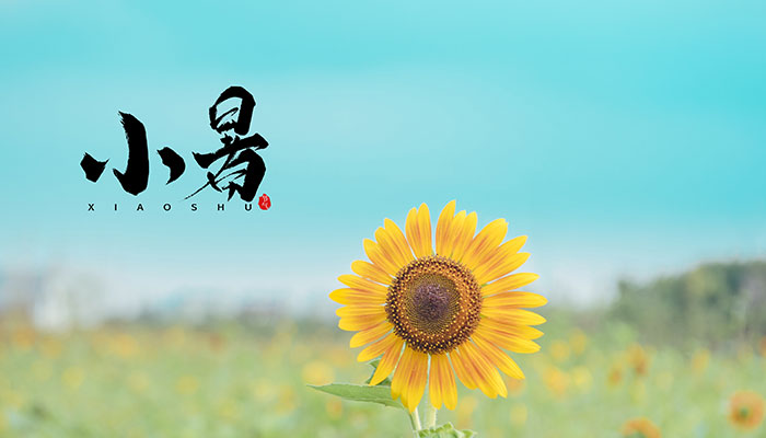 小暑节气特点介绍 小暑气候特征是什么
