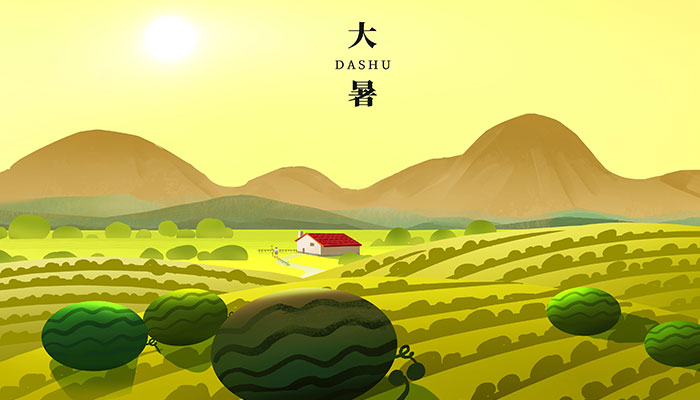 关于大暑的谚语有哪些 大暑节气谚语
