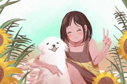 贪狼星