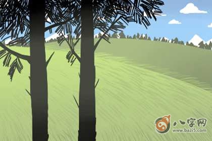 今日生肖冲煞?2020年11月3日属相相冲一览