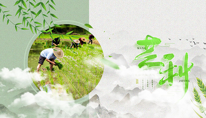 2021芒种是几月几号几点几分几秒 芒种是每年的几月几日