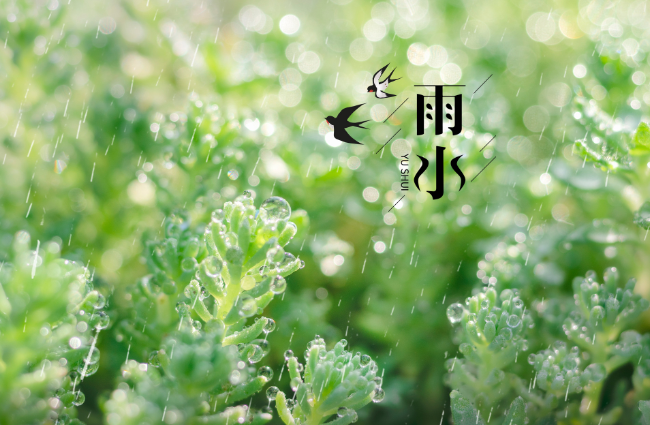 2022年雨水时间几点几分几秒 2022雨水是哪一天的什么时候