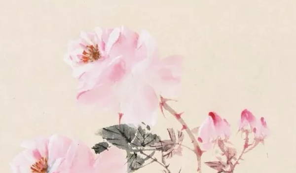 gsqm (156) gsqm (156)