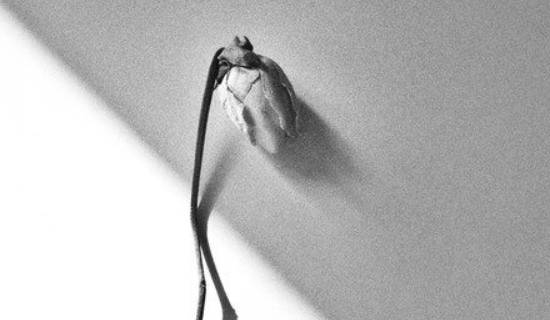 1622561637257160.jpg 2021-03-08_005127.jpg