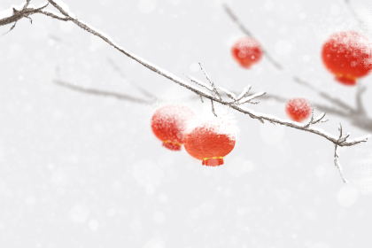 描写元宵节的古诗大全 元宵节古诗名句