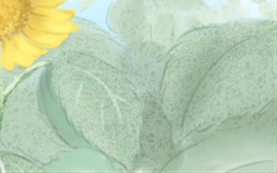 传统节日