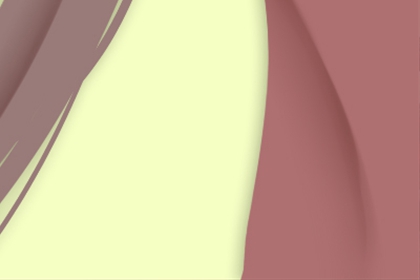 佛山舞狮子图片大全