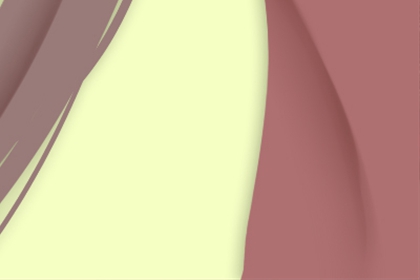 佛山舞狮子图片大全