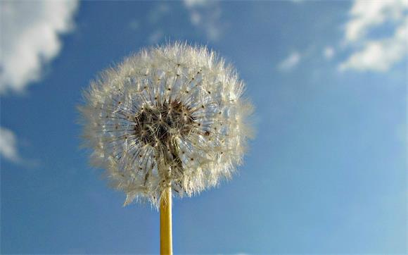 src=http%3A%2F%2Fpic1.win4000.com%2Fwallpaper%2F5%2F5993ecfd3f0af.jpg%3Fdown&refer=http%3A%2F%2Fpic1.win4000.jpg