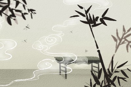 家中摆富贵竹好吗  有什么影响