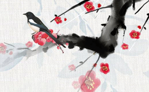 620708dc02095.png