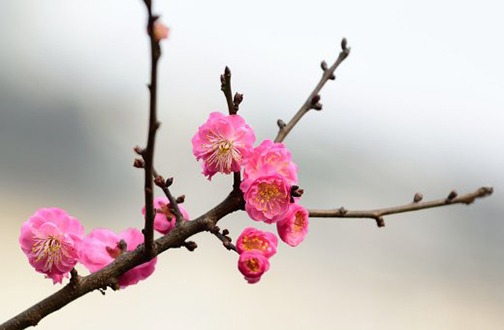 1644720023679185.jpg 61d57b2071a87.jpg