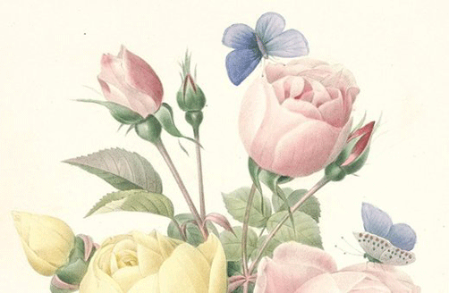 620d9c166fb18.png