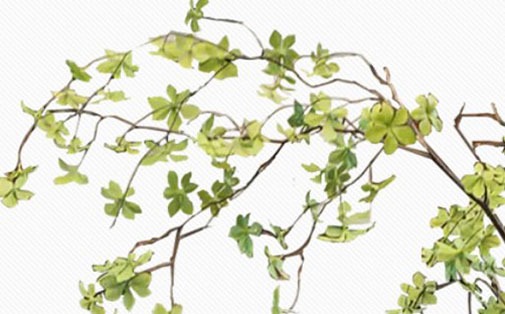 1647149555462959.jpg 2022年6月18日五行穿衣