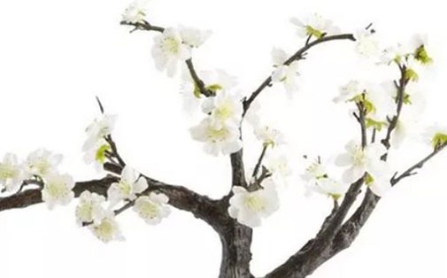 1647225140810435.jpg 2022年6月27日让你穿出好运气