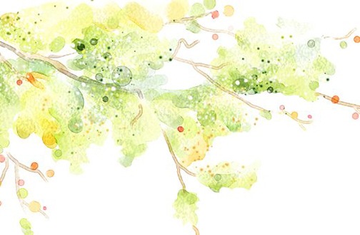 1647481163520489.jpg 属虎的人2022年适合做生意不