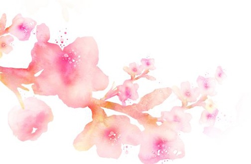 1647567947631717.jpg 属虎本命年要注意什么