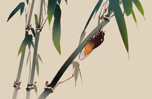 属虎的本命年运势如何