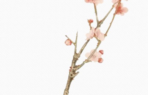 属狗2022年属狗4月运势和事业运